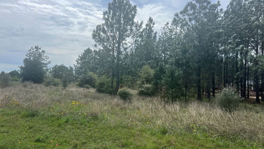 Waller null-story, null-bed 35875 Pineridge Road-idx