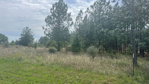 Waller null-story, null-bed 35875 Pineridge Road-idx