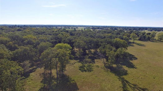 Waller null-story, 0-bed Tract 1 Longhorn Lane-idx