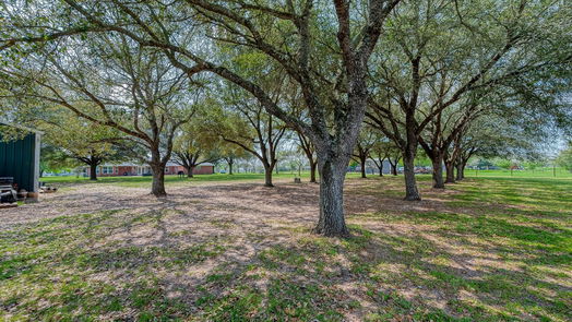 Waller 1-story, 3-bed 31616 Shiloh Road-idx