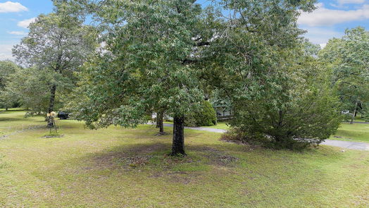 Waller 1-story, 3-bed 17483 Lively Road-idx