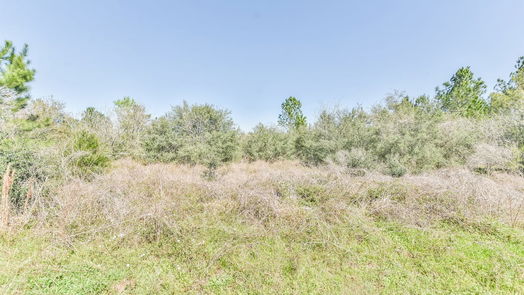 Waller null-story, null-bed 31500 Willow Brook Drive-idx