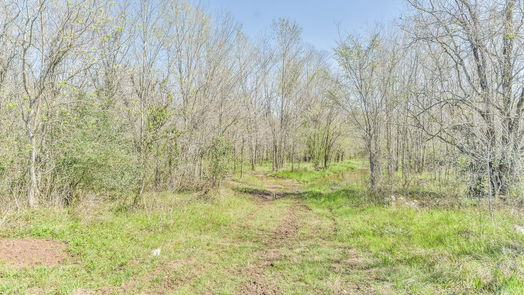 Waller null-story, null-bed 31500 Willow Brook Drive-idx