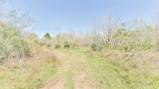 Waller null-story, null-bed 31500 Willow Brook Drive-idx