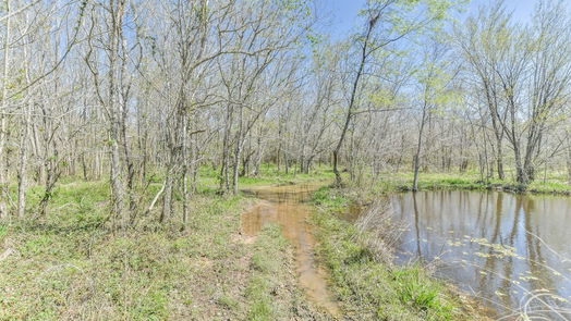 Waller null-story, null-bed 31500 Willow Brook Drive-idx