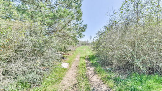 Waller null-story, null-bed 31500 Willow Brook Drive-idx