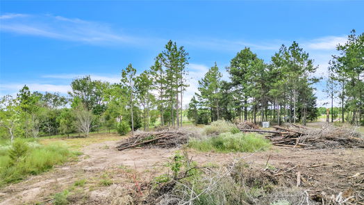 Waller null-story, null-bed 25903 skyview Road-idx