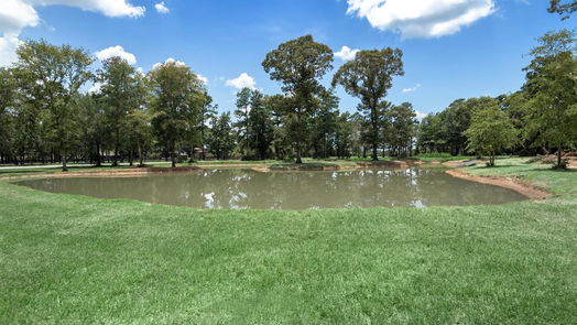 Waller null-story, 4-bed 24658 Riley Road-idx