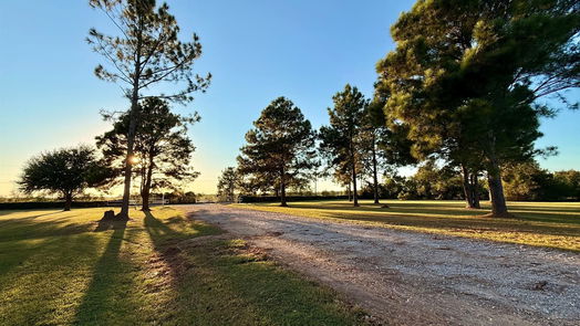 Waller 1-story, 3-bed 20502 Binford Road-idx