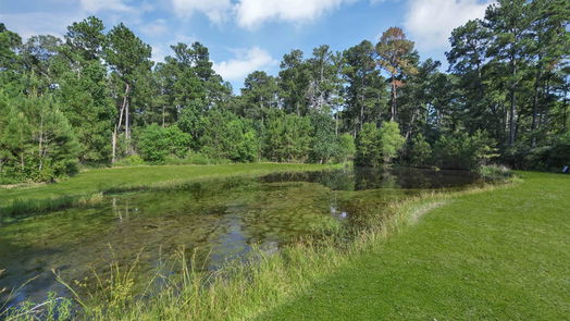 Waller 1-story, 3-bed 32715 Pine Tree Lane Lane-idx