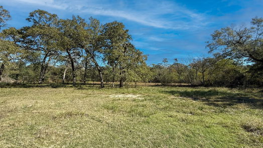 Waller 1-story, 3-bed 1000 Scroggins Ln-idx