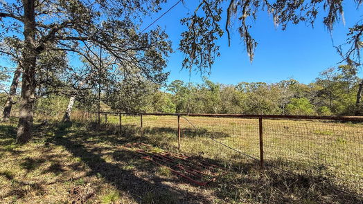 Waller 1-story, 3-bed 1000 Scroggins Ln-idx