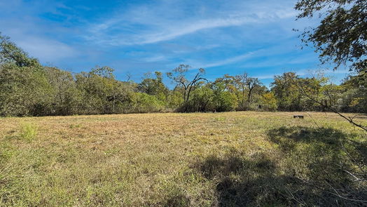 Waller 1-story, 3-bed 1000 Scroggins Ln-idx