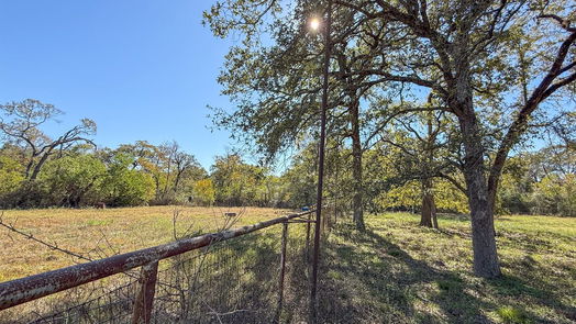 Waller 1-story, 3-bed 1000 Scroggins Ln-idx