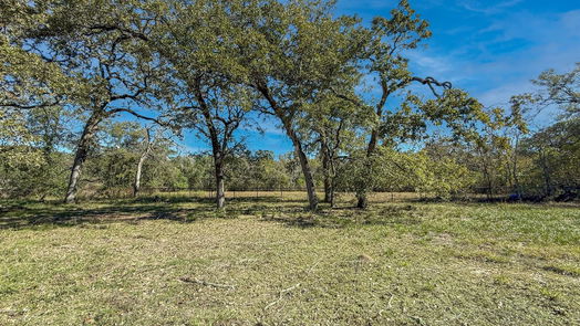 Waller 1-story, 3-bed 1000 Scroggins Ln-idx