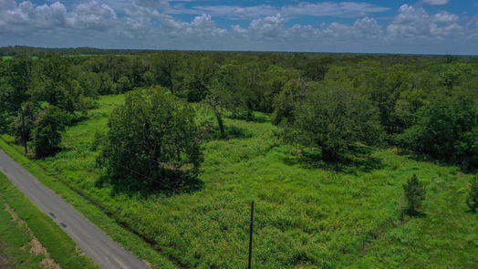 Wharton null-story, null-bed 0 County Road 428-idx