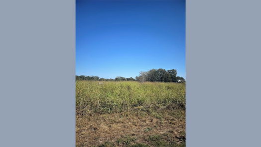 Wharton null-story, null-bed 000 County Road 224-idx