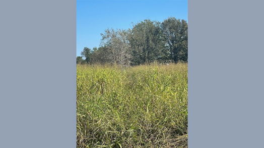 Wharton null-story, null-bed 000 County Road 224-idx
