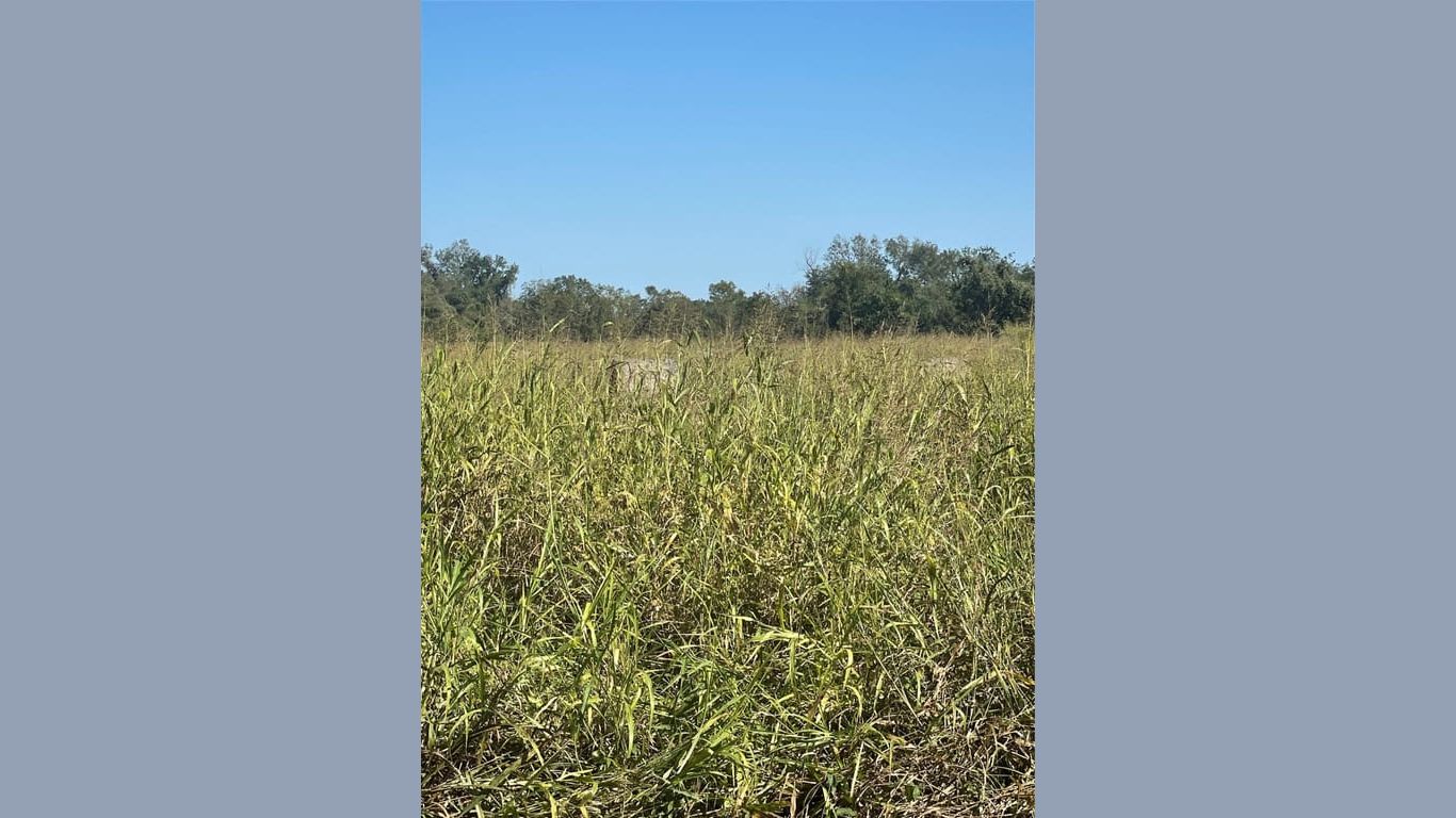 Wharton null-story, null-bed 000 County Road 224-idx