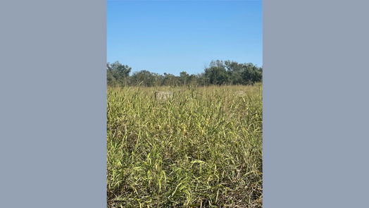 Wharton null-story, null-bed 000 County Road 224-idx