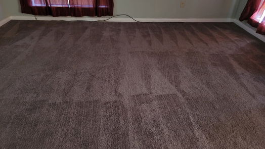 Houston 1-story, 3-bed 1407 Mimosa Road-idx