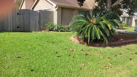 Houston 1-story, 3-bed 1407 Mimosa Road-idx