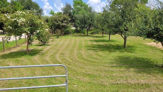 Katy null-story, 4-bed 29055 Bonilla Lane-idx