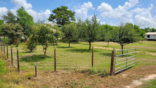 Katy 1-story, 4-bed 29055 Bonilla Lane-idx