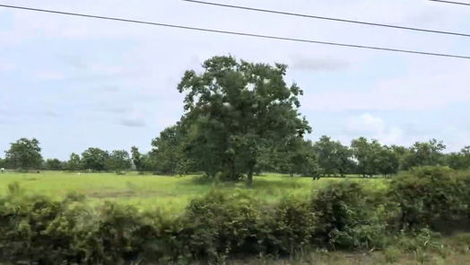 Katy 2-story, 5-bed 5138 Katy Hockley Road-idx