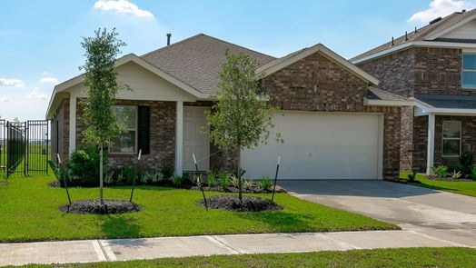 Katy 1-story, 4-bed 1460 Twilight Green Drive-idx