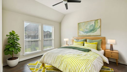 Katy null-story, 4-bed 6423 Diamantina Court-idx