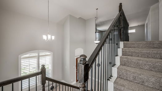 Houston 2-story, 4-bed 3811 Palmer Meadow Court-idx