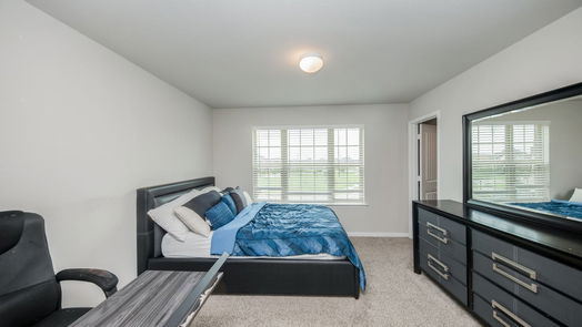 Katy 2-story, 4-bed 28714 Pearl Bridge Lane-idx
