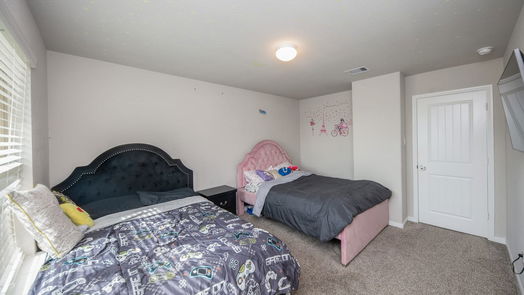 Katy 2-story, 4-bed 28714 Pearl Bridge Lane-idx