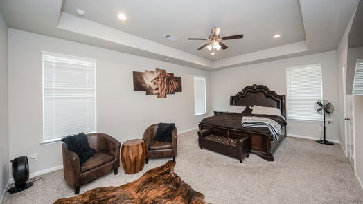 Katy 2-story, 4-bed 28714 Pearl Bridge Lane-idx