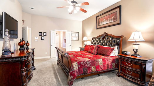 Katy 2-story, 4-bed 28619 Blue Holly Lane-idx