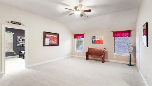 Katy 2-story, 4-bed 28619 Blue Holly Lane-idx