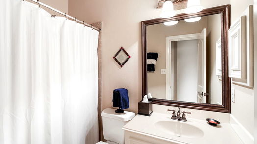 Katy 2-story, 4-bed 28619 Blue Holly Lane-idx