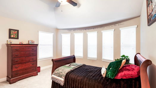 Katy 2-story, 4-bed 28619 Blue Holly Lane-idx