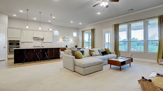 Katy 2-story, 4-bed 1206 Woodglen Hollow Lane-idx