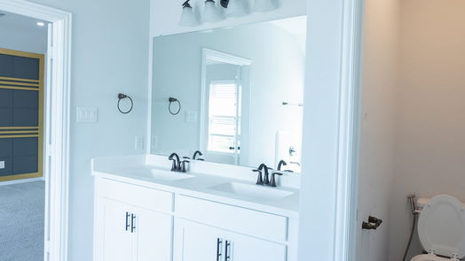 Katy 2-story, 4-bed 4118 Palmer Meadow Court-idx