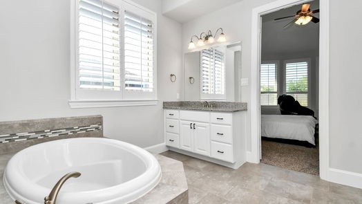 Katy 1-story, 4-bed 2834 Dogwood Terrace Lane-idx