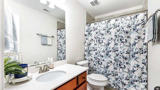 Katy 2-story, 4-bed 29106 Bentford Manor Court-idx