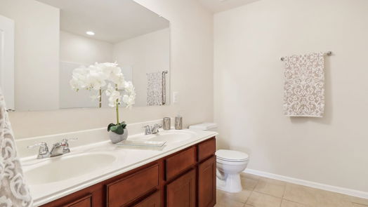 Katy 2-story, 3-bed 407 Mornington Lane-idx