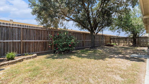 Katy 1-story, 3-bed 23218 Willow Canyon Drive-idx