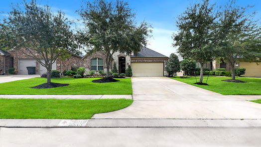 Katy 1-story, 3-bed 29019 Pinnacle Ridge Drive-idx