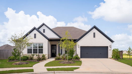 Katy null-story, 4-bed 29523 Beech Tree Bend-idx