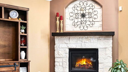 Katy null-story, 4-bed 9930 St Romain Drive-idx