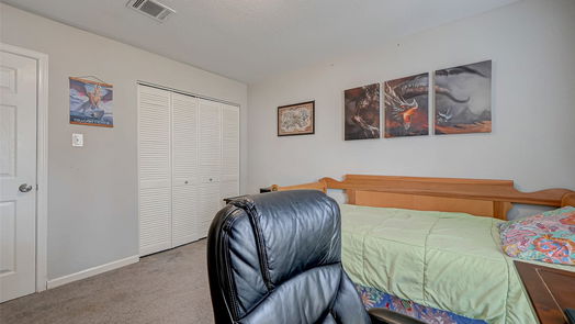 Sugar Land 1-story, 3-bed 13639 Cherrydown Street-idx