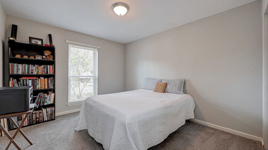 Sugar Land 1-story, 3-bed 13639 Cherrydown Street-idx